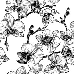 black and white seamless pattern with orchid flowers