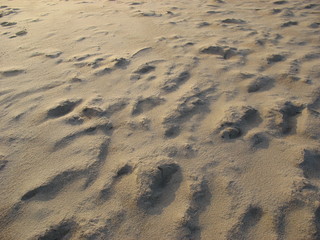 Следы на песке