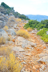 Summer mountain landscape.