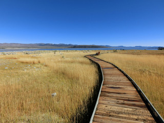 Follow the wooden boardwalk through the grassland - landscape color photo