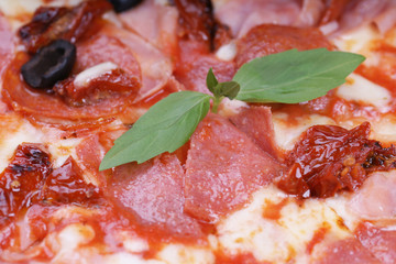 Пицца с колбасой крупным планом