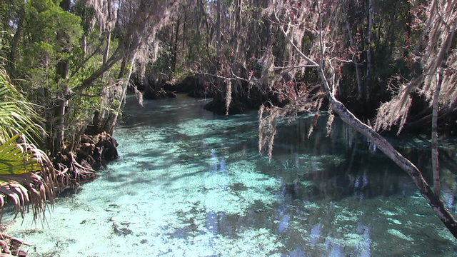 The Three Sisters Spring near Crystal River, Florida