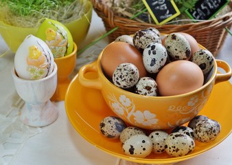 Chicken and quail eggs in colorful porcelain dish,Easter 
