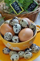 Chicken and quail eggs in colorful porcelain dish,Easter 
