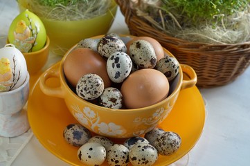 Chicken and quail eggs in colorful porcelain dish,Easter 
