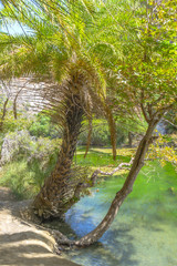 Fototapeta na wymiar Preveli river in Crete, Greece