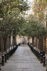 Obraz premium View of a typical long street of Barcelona city, Spain.