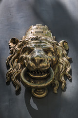 Close view of a golden lion head door knocker.