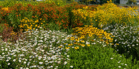 Obraz premium Panorama with different flowers