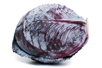 Close up view of a purple cabbage  (Brassica oleracea var. capitata f. rubra) isolated on a white background.