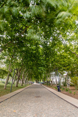 Obraz premium Wide view of the main urban park of the city of Loule, Portugal.