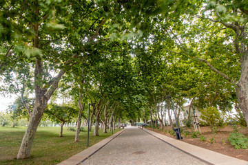 Fototapeta na wymiar Wide view of the main urban park of the city of Loule, Portugal.