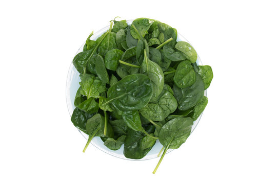 Close view of a bunch of fresh spinach on a dish, isolated on a white background.