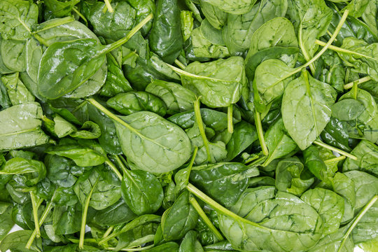 Close view of a pile of fresh spinach, isolated on a white background.