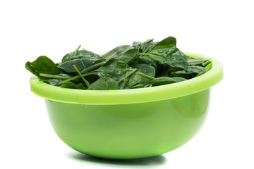 Close view of a bunch of fresh spinach on a green bowl, isolated on a white background.