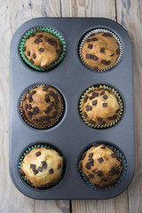 Muffins in a baking pan