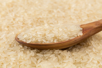 Rice in spoon