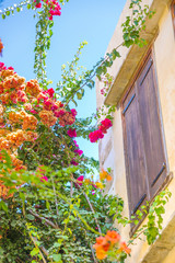 Fototapeta na wymiar Traditional buildings in Chania, Crete