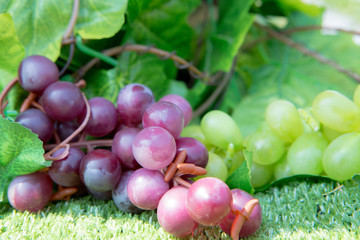 Plastic grape fruit, decorated with accessory  background