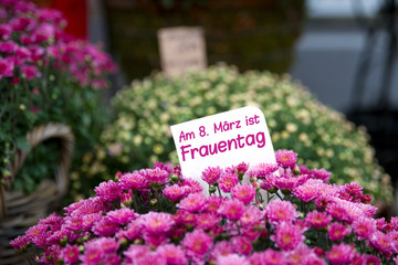 Am 8. März ist internationaler Frauentag 