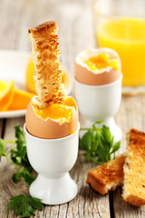 Boiled egg with toasts on a grey wooden table