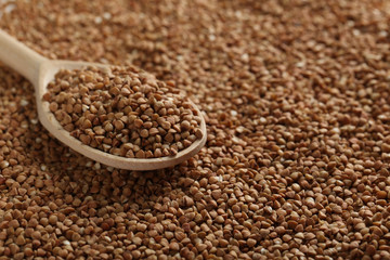 Buckwheat seeds in wooden spoon, close up