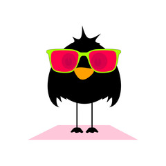 bird with sunglasses illustration