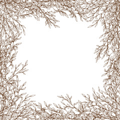 Vector decorative frame with branches, leaves. Hand drawn illustration
