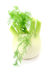 Knollenfenchel © photocrew
