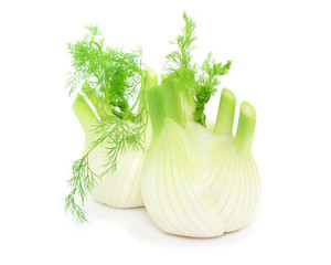 Gemüse Fenchel © photocrew