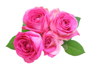 薔薇