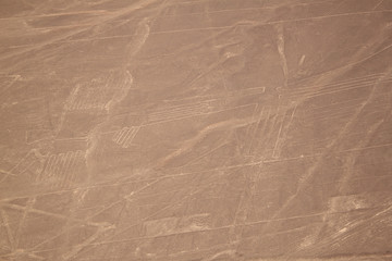 Fototapeta premium Aerial view of the Nazca Lines - big bird
