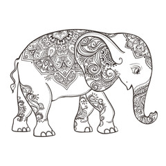 beautiful card vector