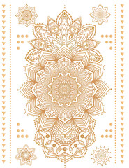 beautiful card vector