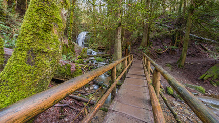 Wooden bridge over a creek in the beautiful forest, Coal creek falls, Issaquah, Washington State