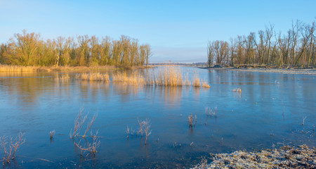 Shore of a lake in sunlight in winter
