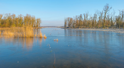 Shore of a lake in sunlight in winter