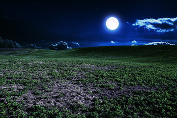 green night field. star sky © Ruslan Ivantsov