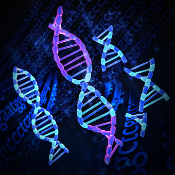 DNA Splicing