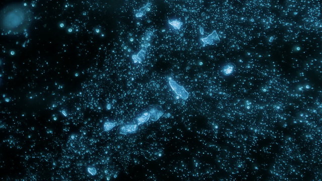 Bacteria Sample on Organic Decomposition Blue Filter Microscope 800x