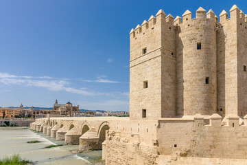 Naklejka premium The Roman bridge is over the Guadalquivir river in Cordoba, Spai