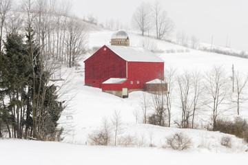 On a cold winter day, a red barn stands in stark contrast to snow covered fields as more snow continues to fall.