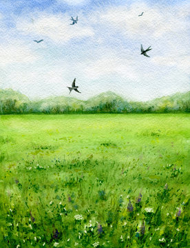 Summer view of the green meadow and flying birds.