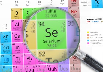Selenium - Element of Mendeleev Periodic table magnified with magnifying glass