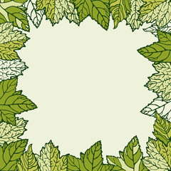 Fototapeta premium Frame leaf.