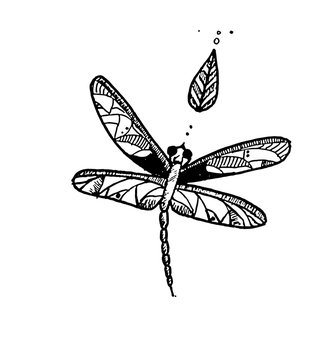 Dragonfly ink doodle.