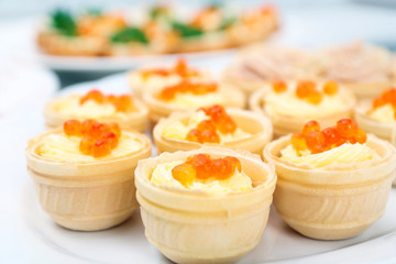 Set of cold snacks, closeup