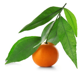 Ripe tangerine with green leaves isolated on white