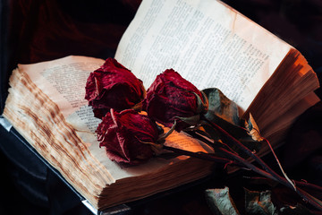 Still life with old book and roses