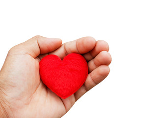 Obraz premium Hand hold heart on white